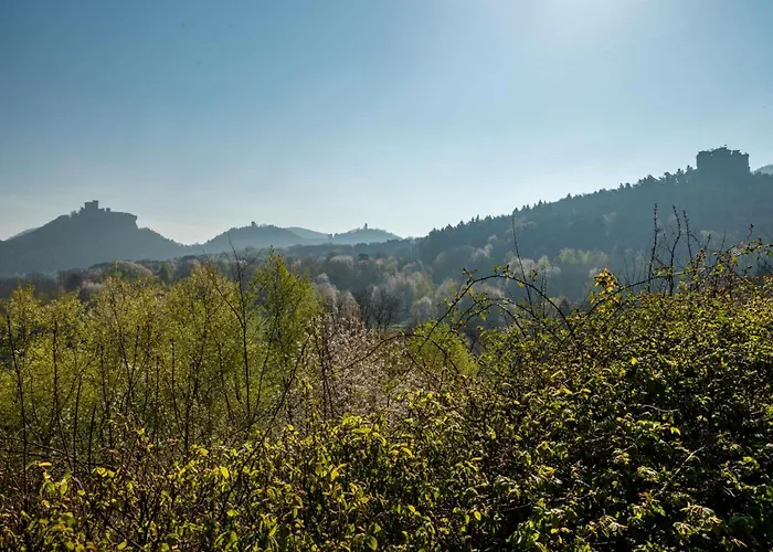 Siika Διαμέρισμα